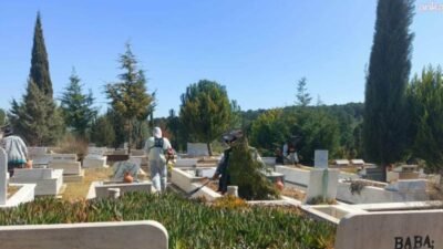 Ayvalık Belediyesi Park ve Bahçeler Müdürlüğü ekipleri, ilçe genelindeki ve