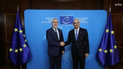 Çalışma ve Sosyal Güvenlik Bakanı Vedat Işıkhan , Avrupa Konseyi