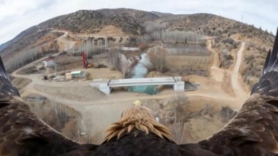 Tarım ve Orman Bakanı İbrahim Yumaklı, 2 milyar 110 milyon