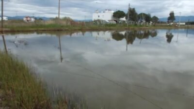 Balıkesir’in batı ilçelerinde etkili olan sağanak sonrası yazlıklar su altında kaldı Balıkesir’in Burhaniye ve Edremit ilçelerinde sağanak etkili oldu, bazı yazlık