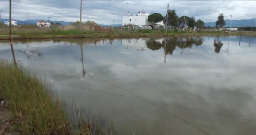 Balıkesir’in batı ilçelerinde etkili olan sağanak sonrası yazlıklar su altında kaldı Balıkesir’in Burhaniye ve Edremit ilçelerinde sağanak etkili oldu, bazı yazlık