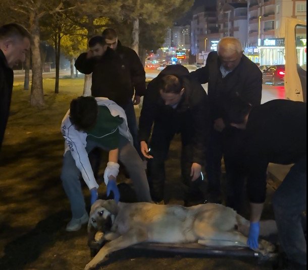 Mamak Belediye Başkanı Veli Gündüz Şahin, gece saatlerinde Çözüm Merkezi’nde