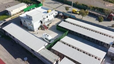 Bayraklı Belediyesi, sokak hayvanlarının daha sağlıklı ve güvenli koşullarda yaşamlarını