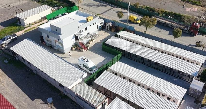 Bayraklı Belediyesi’nden hayvan bakımevinde kapsamlı yenileme çalışması Bayraklı Belediyesi, sokak hayvanlarının daha sağlıklı ve güvenli koşullarda yaşamlarını