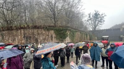 Türkiye Ormancılar Derneği (TOD) Marmara Şubesi ve İstanbul Barosu Çevre,