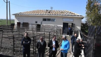 Beylikova Belediyesi ile Eskişehir Büyükşehir Belediyesi iş birliğinde, Beylikova Mezbahası’nın