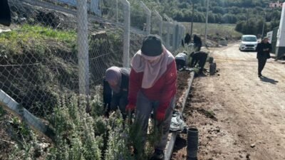 Bilecik Belediyesi ekipleri, yeşillendirme ve peyzaj çalışmalarıyla kenti güzelleştiriyor Bilecik Belediyesi Park ve Bahçeler Müdürlüğü ekipleri tarafından kentin birçok
