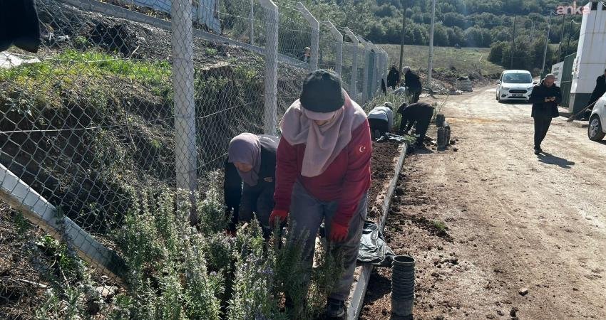 Bilecik Belediyesi ekipleri, yeşillendirme ve peyzaj çalışmalarıyla kenti güzelleştiriyor Bilecik Belediyesi Park ve Bahçeler Müdürlüğü ekipleri tarafından kentin birçok