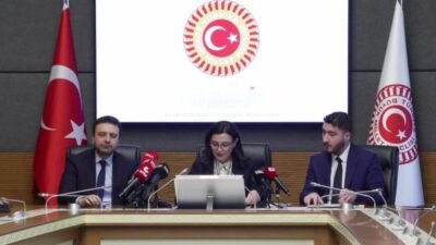 Siber Suçlarla Mücadele Daire Başkanlığı Bilişim Suçları ve Çevrimiçi Dolandırıcılıkla