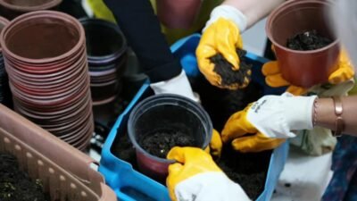 Bodrum Belediyesi, TEMA Vakfı ve Mis Gibi 1 Bodrum iş