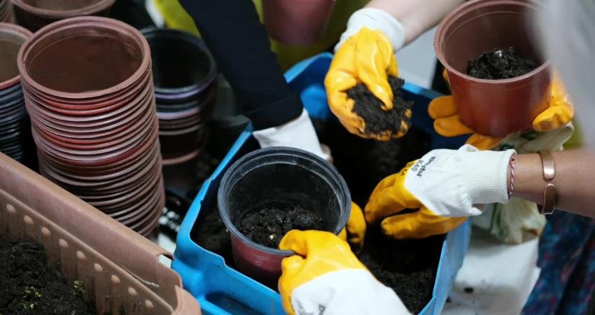 Bodrum Belediyesi Orman Haftası’nda çocuklara doğa bilinci etkinliği düzenledi Bodrum Belediyesi, TEMA Vakfı ve Mis Gibi 1 Bodrum iş