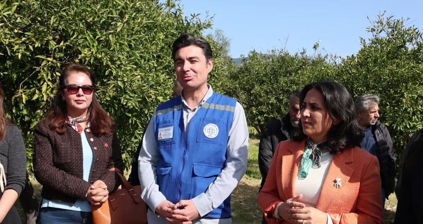 Bodrum’da ağaç budama eğitimi düzenlendi Muğla Büyükşehir Belediyesi ve Bodrum Belediyesi iş birliğiyle, Bitez Mahallesi’nde