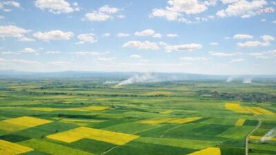 Bursa Bölge İdare Mahkemesi 6. İdari Dava Dairesi, Eskişehir’de yapılması