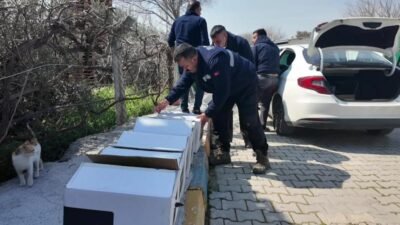 Bornova Belediyesi’ne kedi ve köpeklerin beslenmesine destek olmak amacıyla bir