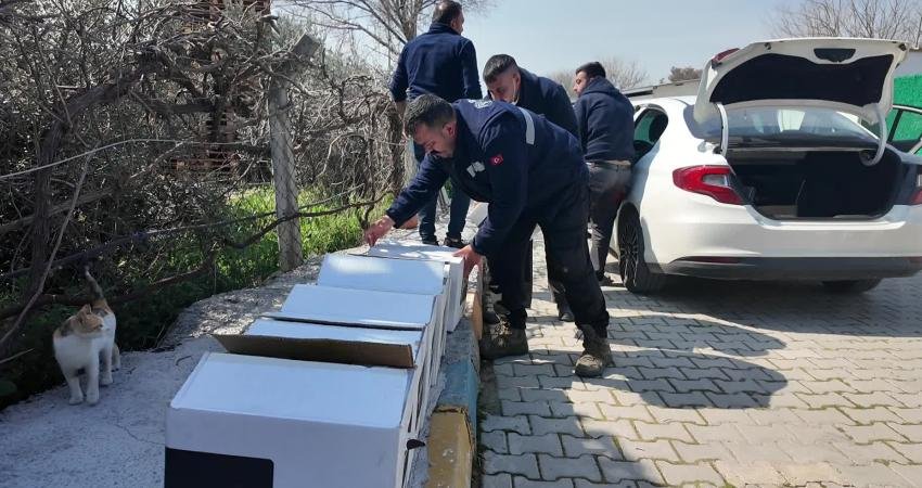 Bornova’da kedi ve köpekler için takviye edici gıda bağışı Bornova Belediyesi’ne kedi ve köpeklerin beslenmesine destek olmak amacıyla bir