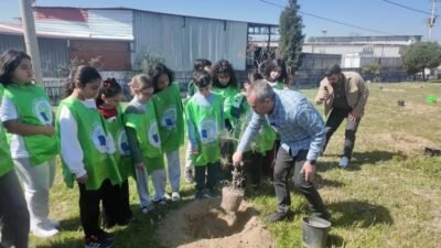 Bornova Belediyesi’nin Orman Haftası etkinliklerinde anaokulu ve ortaokul öğrencileri doğayla