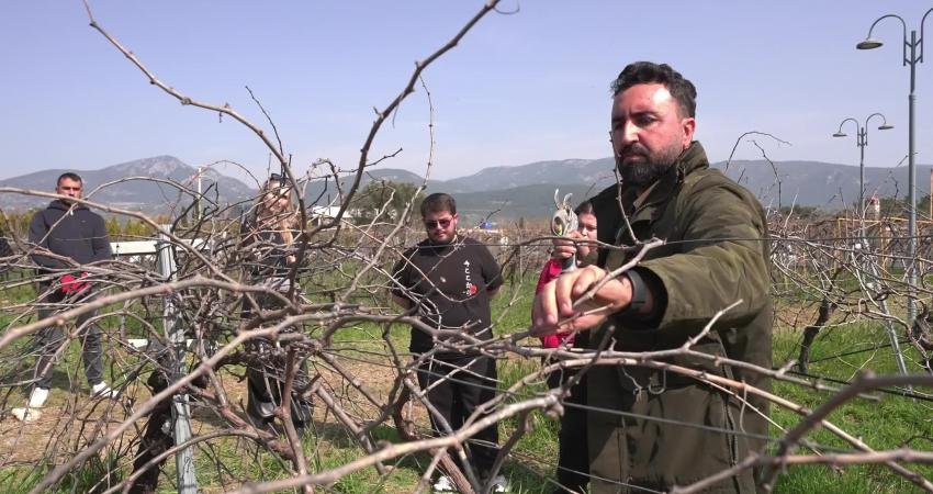 Buca’nın binlerce yıllık simgesi olan üzüm bağları, geleceğin ziraat mühendisleri