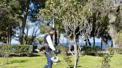 Burhaniye Belediyesi Park ve Bahçeler Müdürlüğü, baharın gelmesiyle ilçe genelindeki