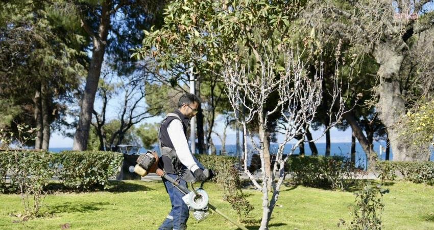 Burhaniye Belediyesi Park ve Bahçeler Müdürlüğü, baharın gelmesiyle ilçe genelindeki