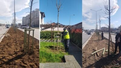 Bursa Büyükşehir Belediyesi tarafından "Bursa’nın Fethinin 700. Yılı" kapsamında önemli