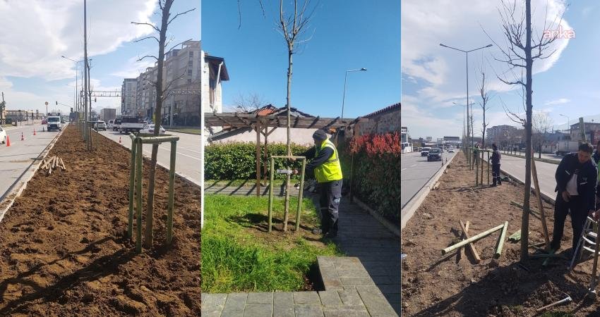 Bursa Büyükşehir Belediyesi, Bursa’nın fethinin 700’üncü yılında 700 fidanı toprakla buluşturuyor Bursa Büyükşehir Belediyesi tarafından "Bursa’nın Fethinin 700. Yılı" kapsamında önemli