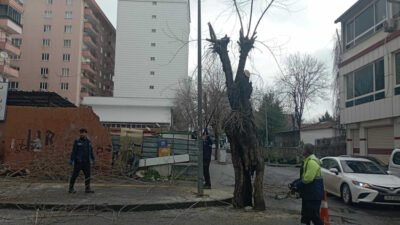 Yenişehir Belediyesi, Diyarbakır'da esnaf ve hukukçuların tepkisine neden olan 40