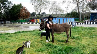 Kuşadası Evcil Hayvan Bakım ve Rehabilitasyon Merkezi, Söke’de kömür madeni