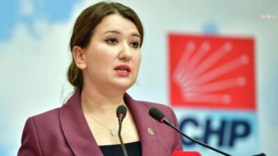 CHP Genel Başkan Yardımcısı Gökçe Gökçen, Avrupa Konseyi Parlamenter Meclisi’nin