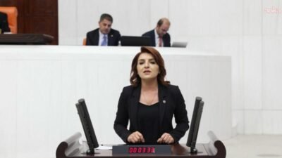 CHP Mersin Milletvekili Gülcan Kış’ın kamu-özel iş birliği projelerindeki garanti