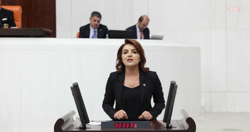 CHP’li Kış: “Garantili geçişlerin maliyeti devlet sırrı mı?” CHP Mersin Milletvekili Gülcan Kış’ın kamu-özel iş birliği projelerindeki garanti