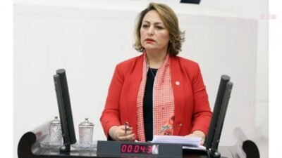 CHP Adana Milletvekili Müzeyyen Şevkin, ağız ve diş sağlığı hizmetlerine