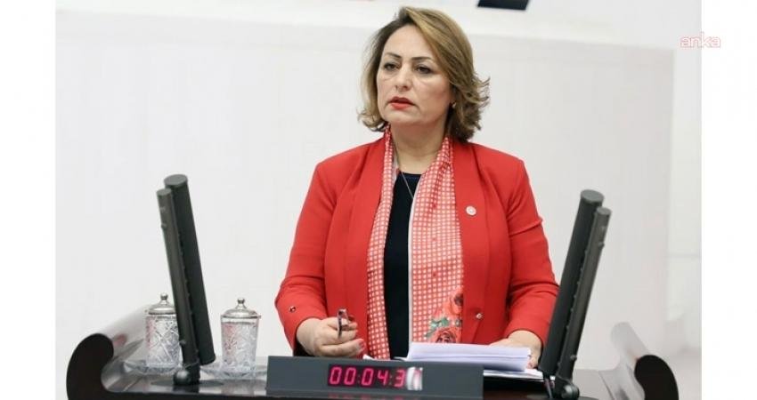 CHP Adana Milletvekili Müzeyyen Şevkin, ağız ve diş sağlığı hizmetlerine