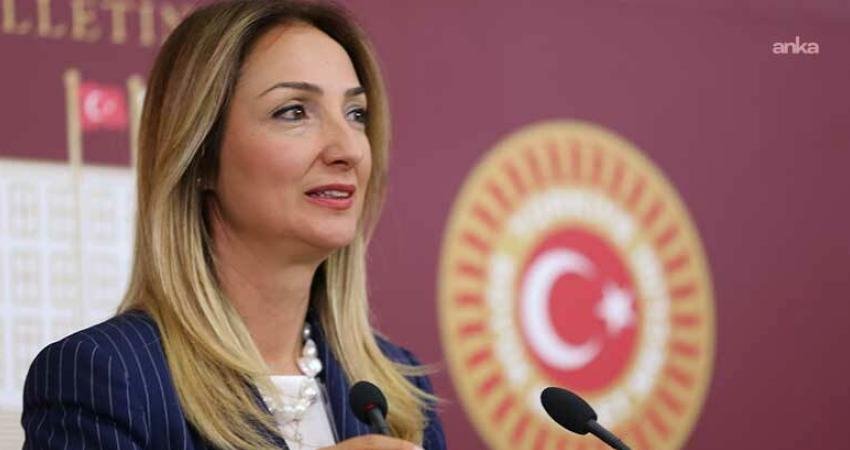CHP Aile ve Sosyal Hizmetler Politika Kurulu Başkanı Aylin Nazlıaka,