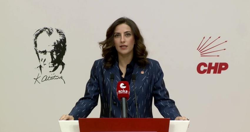 CHP Genel Başkan Yardımcısı Evrim Rızvanoğlu, Cumhurbaşkanı Recep Tayyip Erdoğan'ın