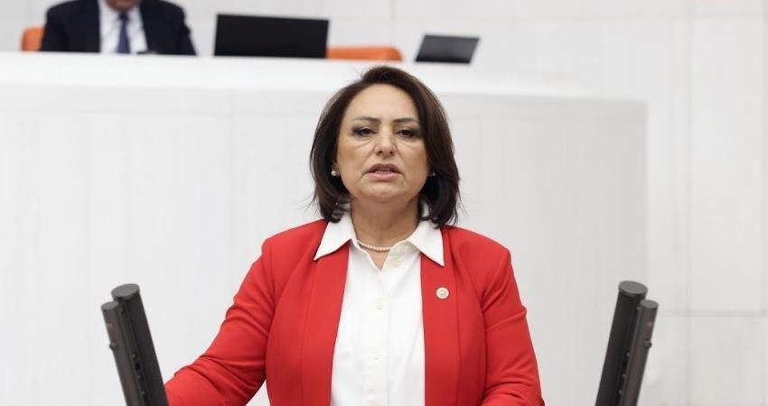 CHP Adana Milletvekili Müzeyyen Şevkin, kadın sığınmaevlerine yönelik iddiaları meclis