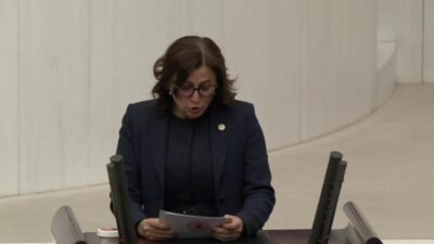 CHP İstanbul Milletvekili Türkan Elçi, son şiddet olaylarını değerlendirerek, toplumda