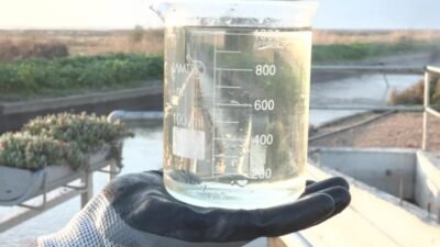 Türkiye’nin en büyüğü unvanına sahip Çiğli İleri Biyolojik Arıtma Tesisi,