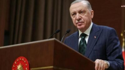 Cumhurbaşkanı Recep Tayyip Erdoğan, Birleşik Arap Emirlikleri (BAE) Devlet Başkanı