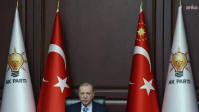 Cumhurbaşkanı Recep Tayyip Erdoğan, "Türkiye olarak kim yaparsa yapsın, uluslararası