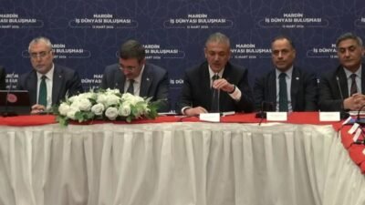 Cumhurbaşkanı Yardımcısı Cevdet Yılmaz, "2002 yılında tüm Güneydoğu Anadolu Bölgemizin