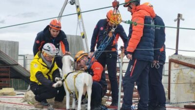Afet ve Acil Durum Yönetimi Başkanlığı (AFAD) koordinasyonunda, Türkiye ile