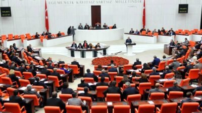 DEM Parti Sözcüsü ve Şırnak Milletvekili Ayşegül Doğan, 2 Mart