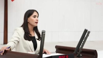 DEM Parti Milletvekili Nevroz Uysal, kadın mahpusların ağırlaştırılmış müebbet infazı