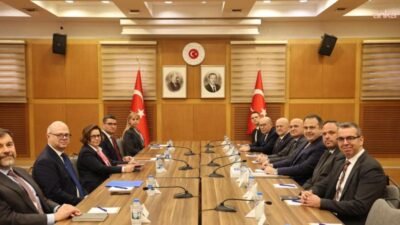 Dışişleri Bakan Yardımcısı Büyükelçi Berris Ekinci, Dış Ekonomik İlişkiler Kurulu