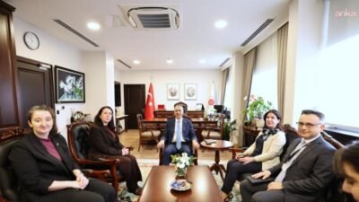 Dışişleri Bakan Yardımcısı Hacı Ali Özel,  İrlanda'nın Ankara Büyükelçisi