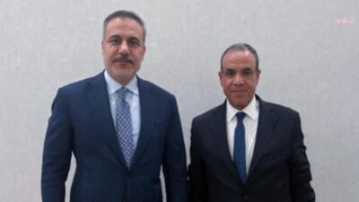 Dışişleri Bakanı Hakan Fidan, Mısır Arap Cumhuriyeti Dışişleri, Göç ve Yurtdışı