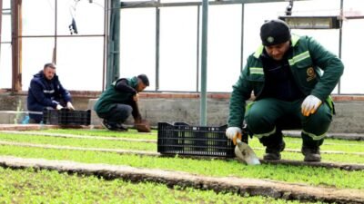 Diyarbakır Büyükşehir Belediyesi, su tasarrufu sağlayan ve kuraklığa dayanıklı bitkilerle