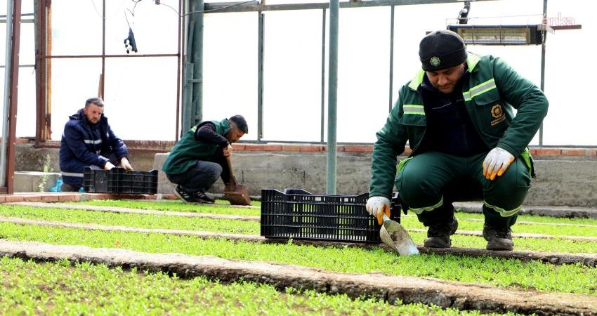 Diyarbakır Büyükşehir Belediyesi, su tasarrufu sağlayan ve kuraklığa dayanıklı bitkilerle