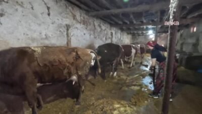 Yozgat’ın Yerköy ilçesine bağlı Yukarı Elmahacılı Köyü'nde yaşayan 28 yaşındaki