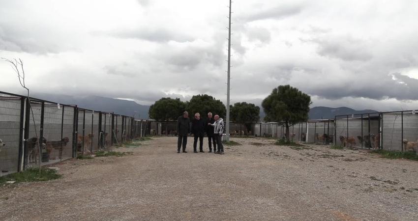 Balıkesir Edremit Belediye Başkanı Mehmet Ertaş, Eminkuyu bölgesinde sokak hayvanlarına yönelik